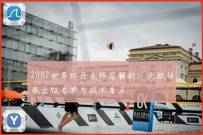 2002世界杯丹麦阵容解析:北欧劲旅出征名单与战术看点