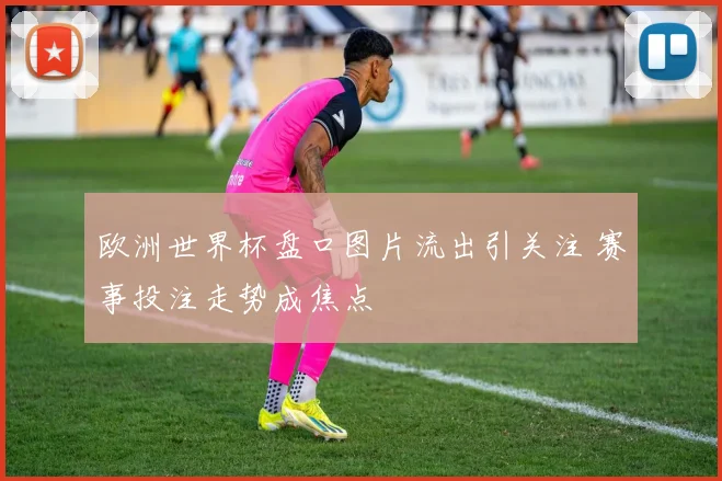 欧洲世界杯盘口图片流出引关注 赛事投注走势成焦点